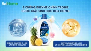 [Gia đình & Xã hội] Nước giặt sinh học là gì? Nước giặt sinh học Bell Home có tốt không?